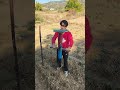 The vegetable garden stake-making process