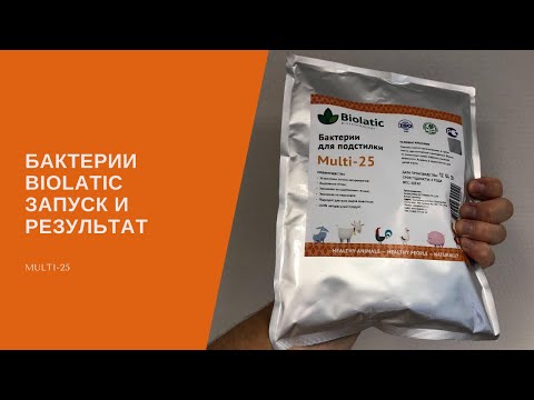 Бактерии для подстилки