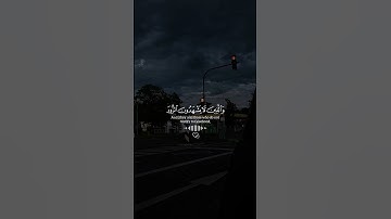 تلاوه هادئه تريح القلب || للقارئ محمد اللحيدان