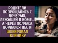 Родители попрощались с дочерью, лежащей в коме… А через полчаса ворвался пес и шокировал клинику