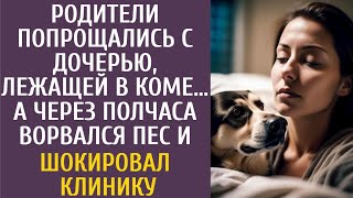 картинка: Родители попрощались с дочерью, лежащей в коме… А через полчаса ворвался пес и шокировал клинику