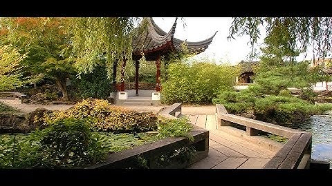 Zhiyun Smooth Q filming with LG V20 @ Dr. Sun Yat-Sen Park