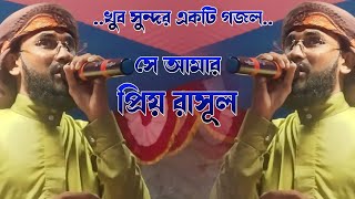 সে আমার প্রিয় রাসূল।। saifuddin amini gojol।। সাইফুদ্দিন আমিনি গজল।। ২০২৩  সালের সেরা গজল