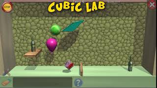 Cubic Lab 5 screenshot 4