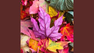 Colored Autumn (Original Motion Picture Soundtrack) screenshot 3