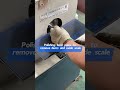 Round pipe grinding, polishing, and remove surface skin#roundpipe #grinding #brushing #polishing