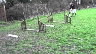 Hugo's Jump Bumps
