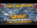 АВТО ИЗ ЯПОНИИ❗️АКТУАЛЬНЫЕ ЦЕНЫ❗️ИНТЕРЕСНЫЕ СЛУЧАИ