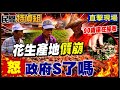 花生價崩腰斬！怒轟“政府S了嗎？”90歲坐輪椅還在採收【#民間特偵組258-1】 @民間特偵組PeopleJustice
