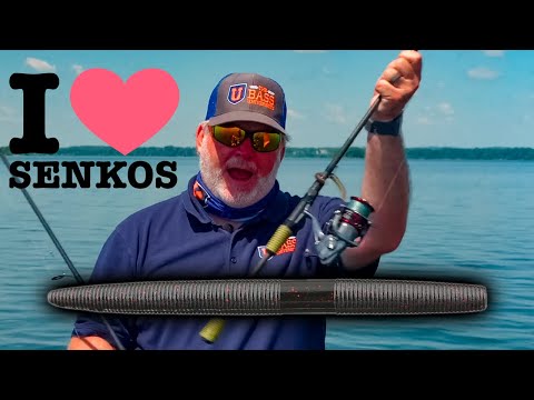 Senkos : Texas Rig Vs Wacky Rig - Gluszek