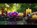 Relaxing Music for Sleep, Focus and Healing 🌿 Calming Nature Sounds for Work, Meditation and Peace