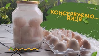 Як законсервувати свіжі курячі яйця