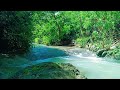 Waterfall Sounds for Deep Sleep – Soothing Waterfall Ambience to Calm Your Brain