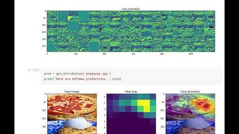 Visualizing Model Intermediate Layers for Interpretability and Explainability