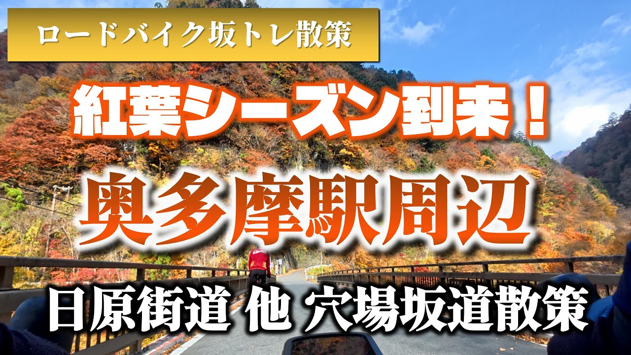 【ロードバイク】奥多摩日原街道から紅葉狩りがてらの坂トレ散策