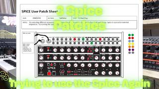 3 Spice Patches | 060326 |