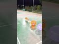 cute funny dog #funny #gedgets#amzing #balloon #crashing