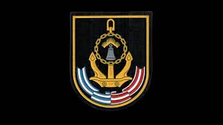161 бригада подводных лодок Кольской флотилии разнородных сил Северного флота шеврон Полярный