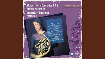 Horn Concerto No. 1 in E-Flat Major, Op. 11: I. Allegro