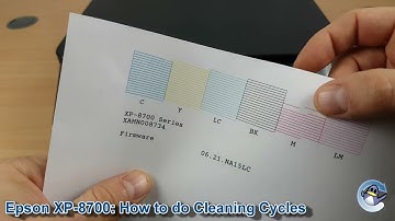 Epson Expression Photo XP-8700: How to do Printhead Cleaning Cycles and Improve Print Quality