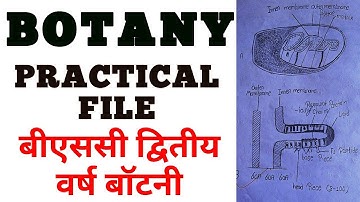 Bsc practical file | Bsc botany practical file | How to make bsc practical file | practical file pdf