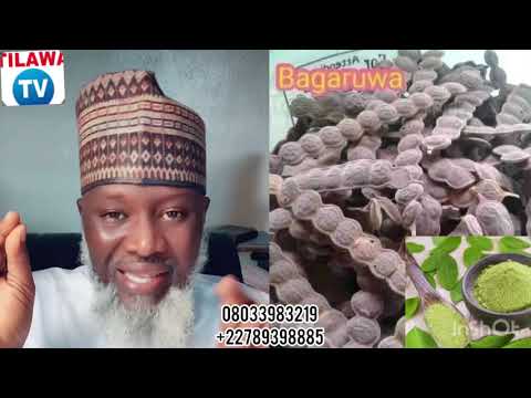 YADDA ZAKU HADA MAGANIN MATSI NA SARKI MATA FISABILILLAH