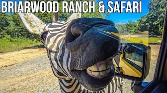 Briarwood Ranch Safari Park Drive thru / Feeding The Animals / Something Different In The Smokies.