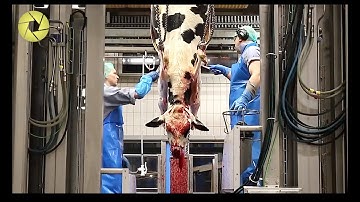 Inside The Meat Processing Plant - Inside The Food Factory | Incredible Process Worth Watching HD