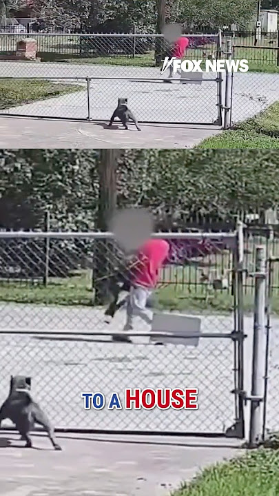Illegal immigrant arrested after security camera catches kidnapping #shorts #foxnews #news #us #fox