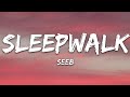 Miniature de la vidéo de la chanson Sleepwalk
