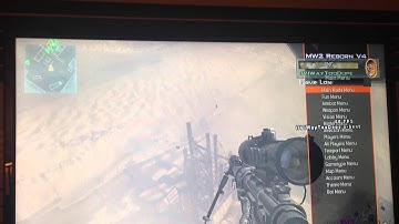 Mw2 Project reborn by enstone