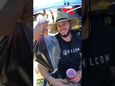 3 Festival Camping