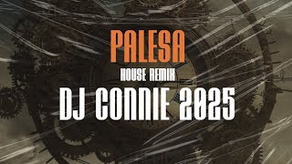 Download Lagu Palesa(House Remix DJ Conie 2025) MP3 Download Lagu Palesa(House Remix DJ Conie 2025) MP3