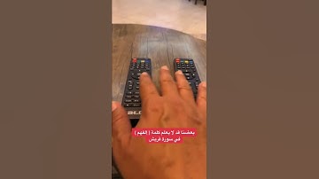 بعضنا قد لا يعلم معنى ( إلفهم ) في سورة قريش استمتع بالاية تدبرا