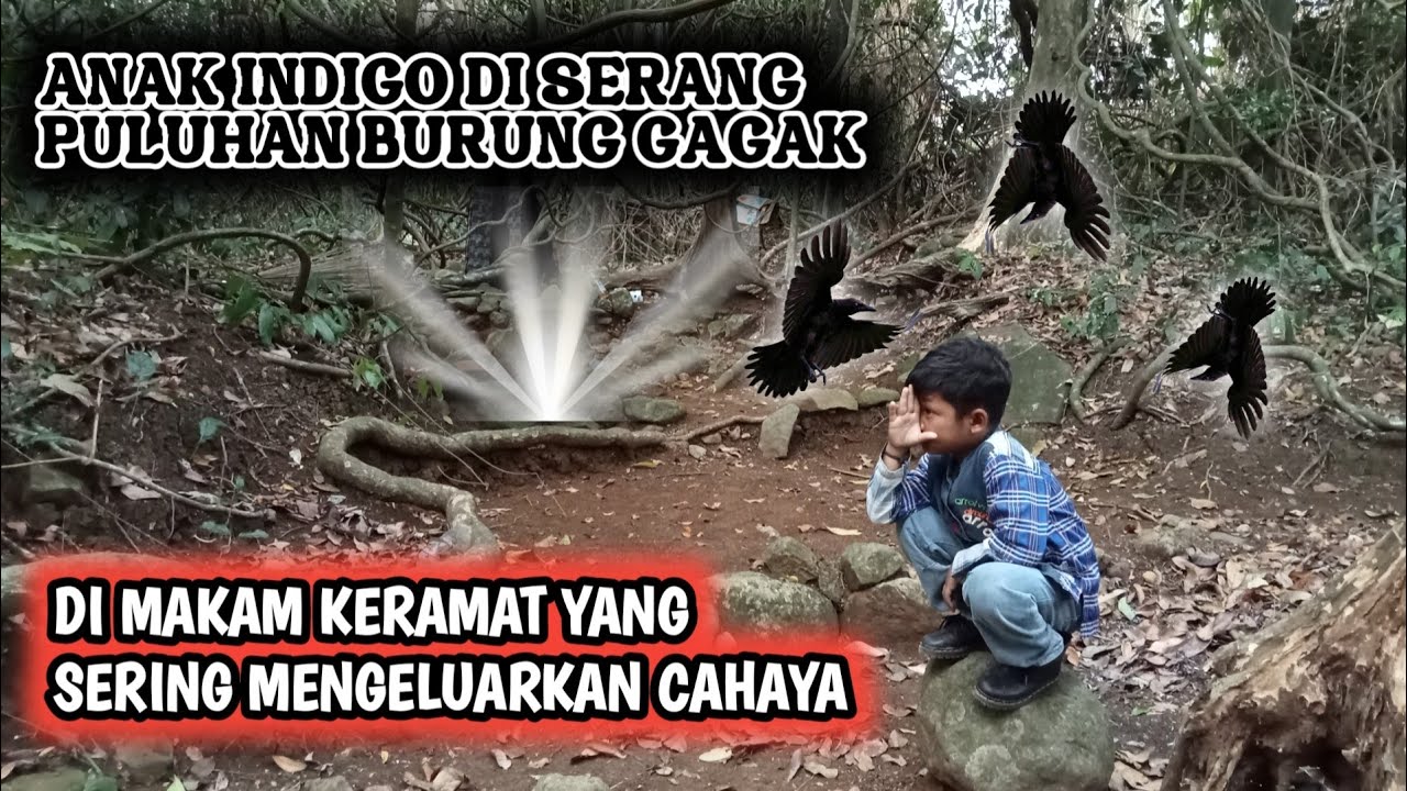 ANAK INDIGO DI SERANG PULUHAN BURUNG PENUNGGU MAKAM KERAMAT KELUAR CAHAYA