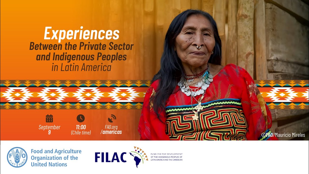 Indigenous Peoples and the Private Sector: case studies in Latin ...