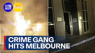 International crime gang hits Melbourne nightspots | 9 News Australia