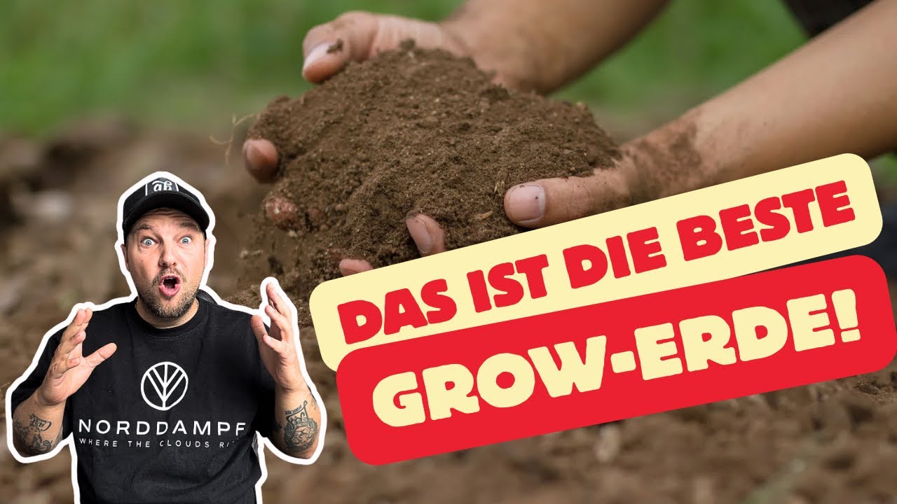Cannabis Erde - Das MUSST du wissen!