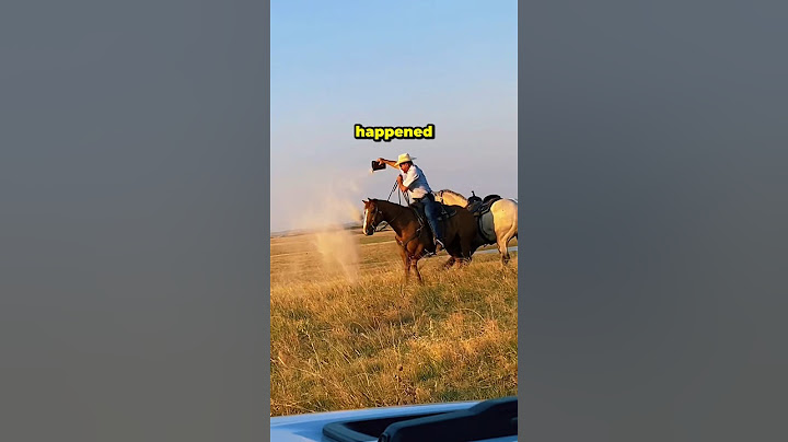 Horse’s Touching Farewell to Owner #horse #love #animals