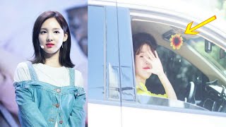 IU gains attention for still having the flower given by TWICE's Nayeon