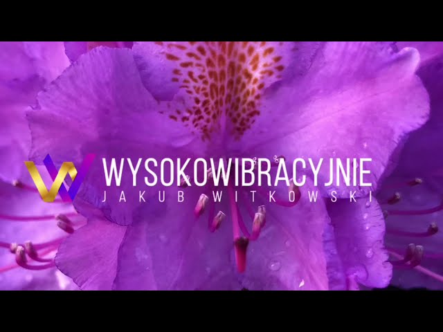 Medytacja instruktażowa. Dotarcie do przyczyn. Jakub Witkowski #wysokowibracyjnie