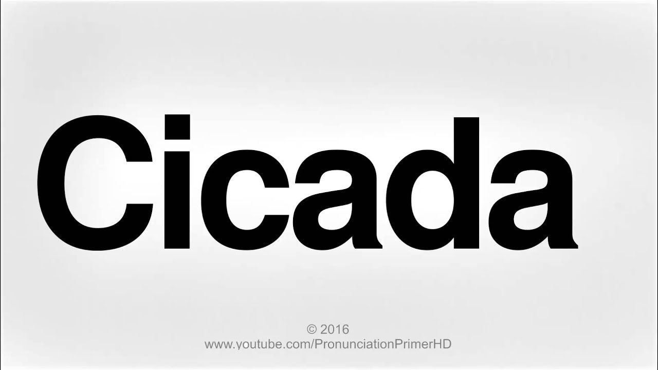 How To Pronounce Cicada Pronunciation Primer HD YouTube