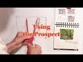 Quick Tip 239 - Using the Prospek