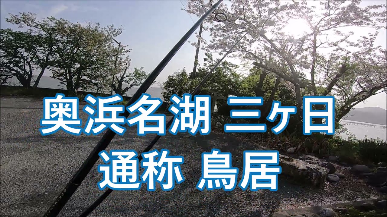 釣り場ポイント チヌ シーバス58奥浜名湖三ヶ日通称鳥居 Youtube