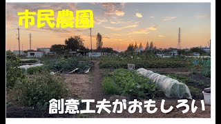 【家庭菜園】（市民農園）気軽に楽しめる家庭菜園用の畑をご紹介