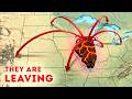 People Are Leaving Illinois in Record Numbers and Here's Why