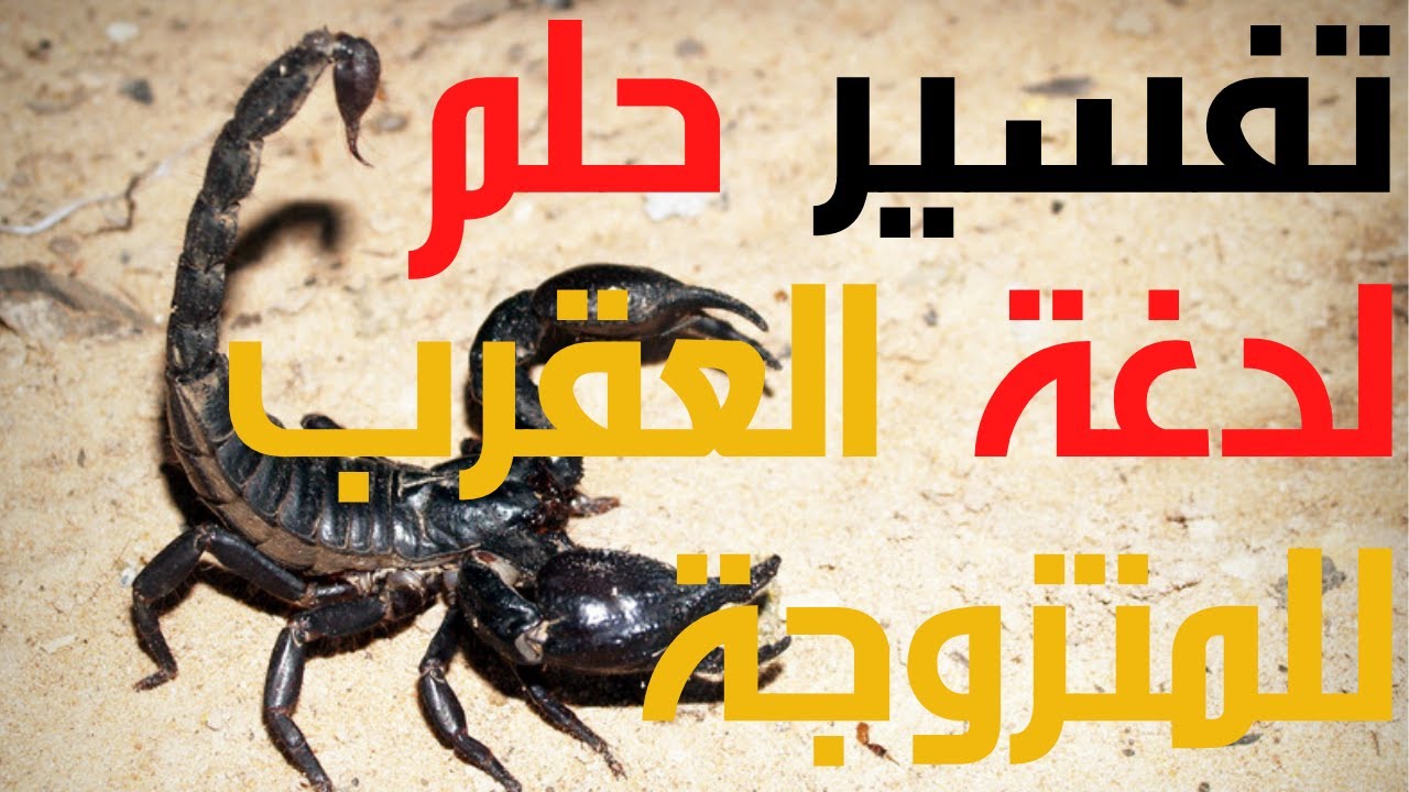 Nyoka uye scorpion muchiroto kune mukadzi akaroorwa