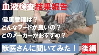 【血液検査】動物病院に行ってきた・後編【検査結果】獣医さんに聞くペットの健康管理 animal hospital　4K