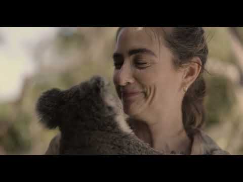 Zookeeper Snuggles Koala Joey