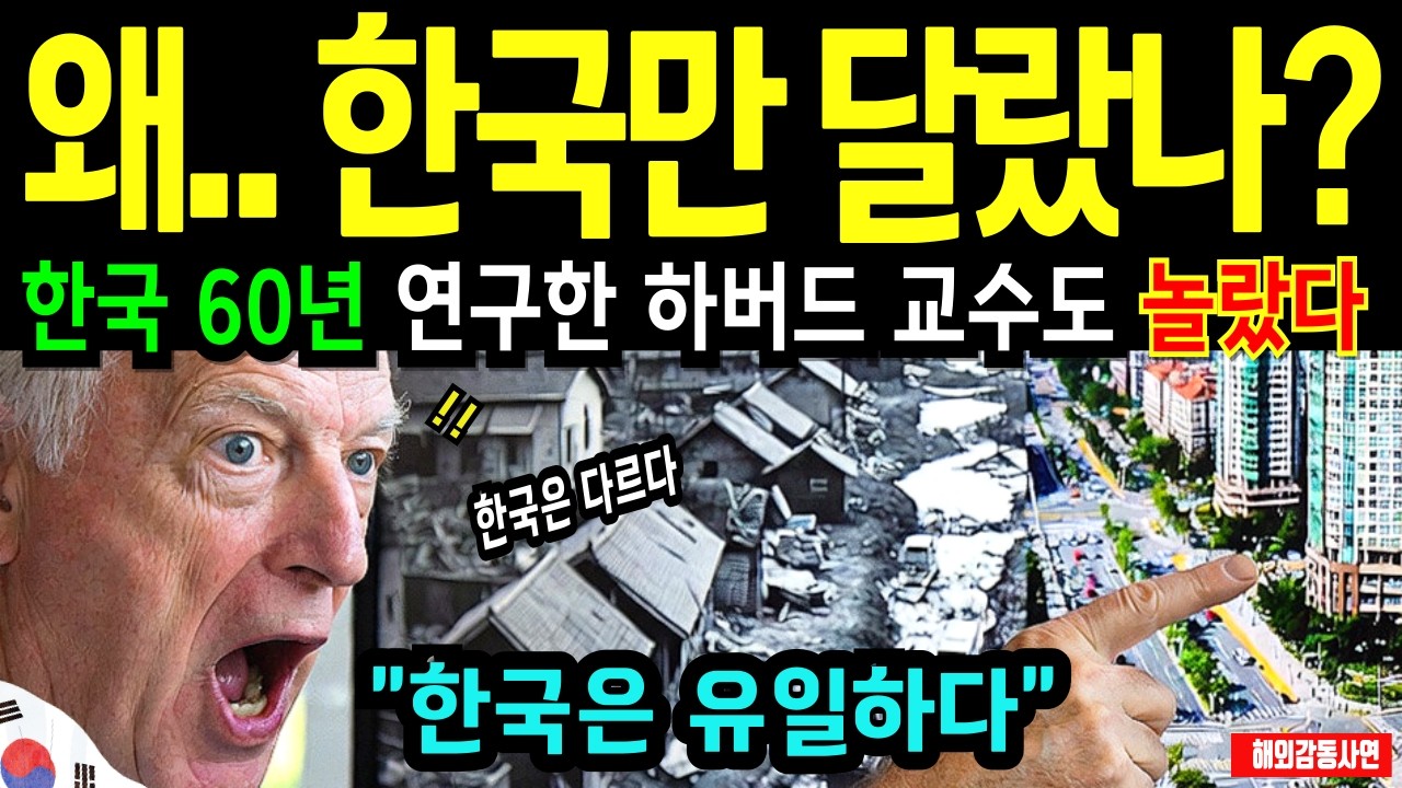 [해외감동사연] 60년 연구한 하버드 교수는 왜 한국이 유일하다고 했나